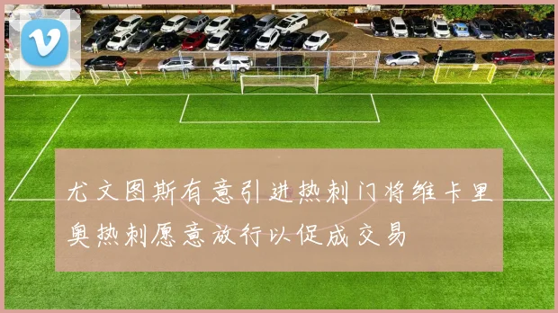 尤文图斯有意引进热刺门将维卡里奥热刺愿意放行以促成交易