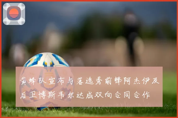 黄蜂队宣布与落选秀前锋阿杰伊及后卫博斯韦尔达成双向合同合作